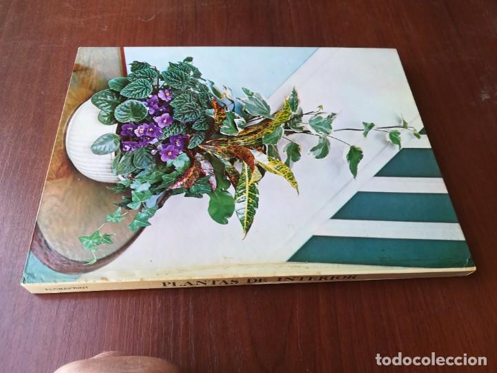 Libros de segunda mano: PLANTAS DE INTERIOR / BLUME / ROBERTO GUILLEN / CJA86-95 - Foto 2