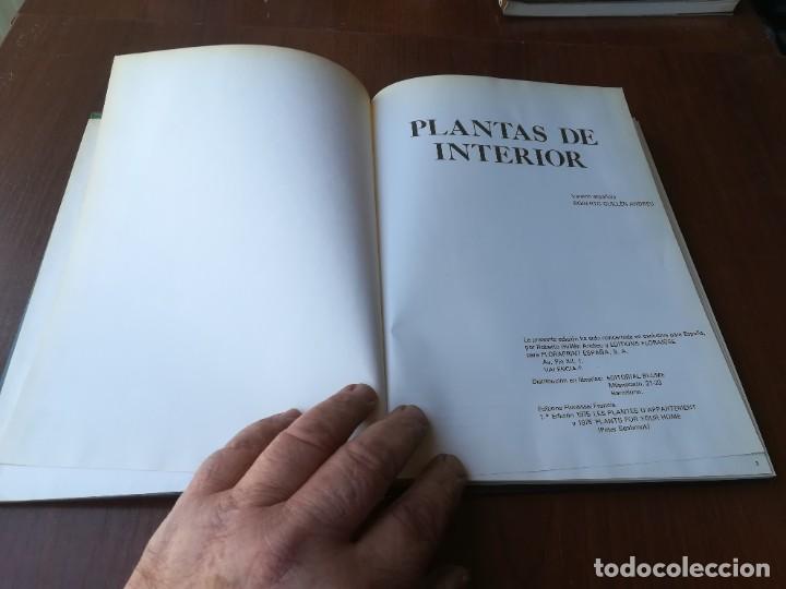 Libros de segunda mano: PLANTAS DE INTERIOR / BLUME / ROBERTO GUILLEN / CJA86-95 - Foto 3