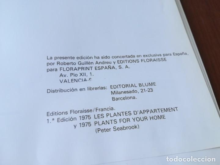 Libros de segunda mano: PLANTAS DE INTERIOR / BLUME / ROBERTO GUILLEN / CJA86-95 - Foto 4