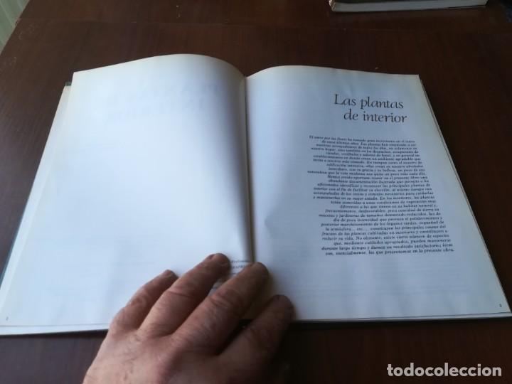Libros de segunda mano: PLANTAS DE INTERIOR / BLUME / ROBERTO GUILLEN / CJA86-95 - Foto 6