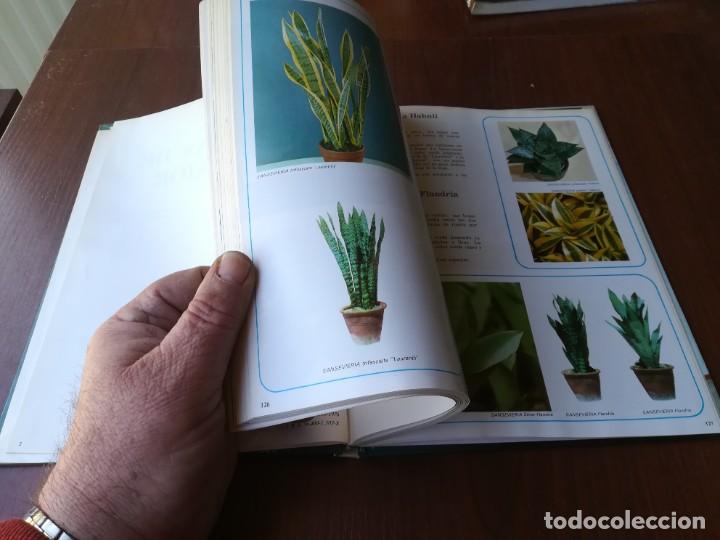 Libros de segunda mano: PLANTAS DE INTERIOR / BLUME / ROBERTO GUILLEN / CJA86-95 - Foto 7