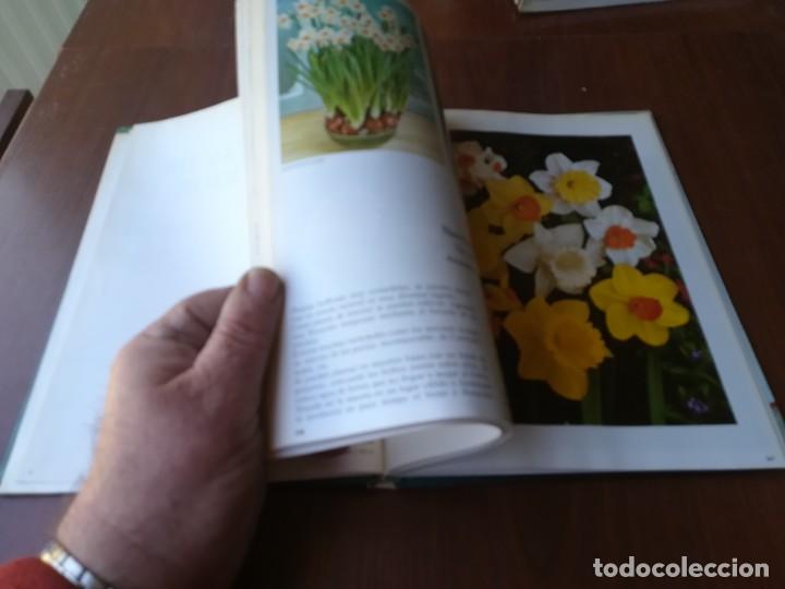 Libros de segunda mano: PLANTAS DE INTERIOR / BLUME / ROBERTO GUILLEN / CJA86-95 - Foto 8