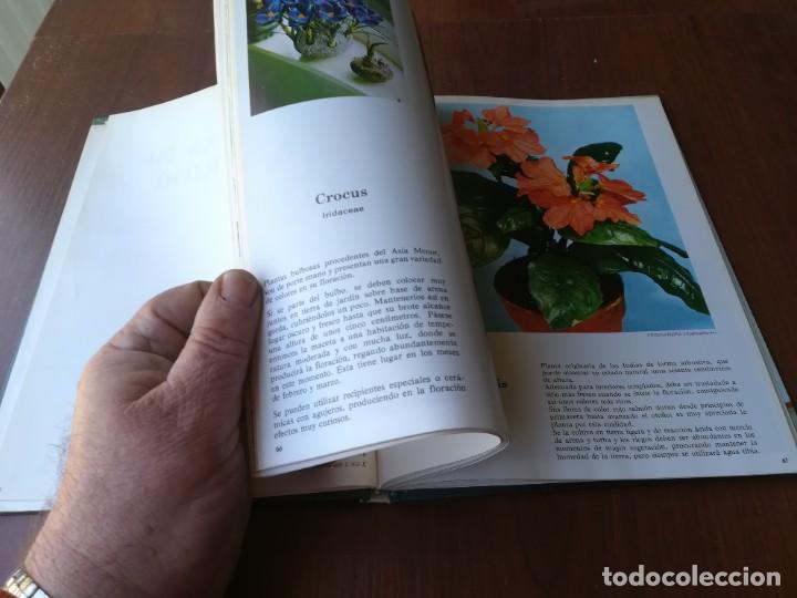 Libros de segunda mano: PLANTAS DE INTERIOR / BLUME / ROBERTO GUILLEN / CJA86-95 - Foto 10
