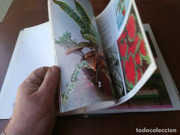 Libros de segunda mano: PLANTAS DE INTERIOR / BLUME / ROBERTO GUILLEN / CJA86-95 - Foto 11