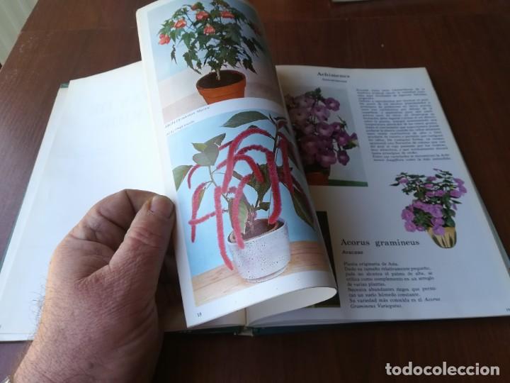 Libros de segunda mano: PLANTAS DE INTERIOR / BLUME / ROBERTO GUILLEN / CJA86-95 - Foto 12