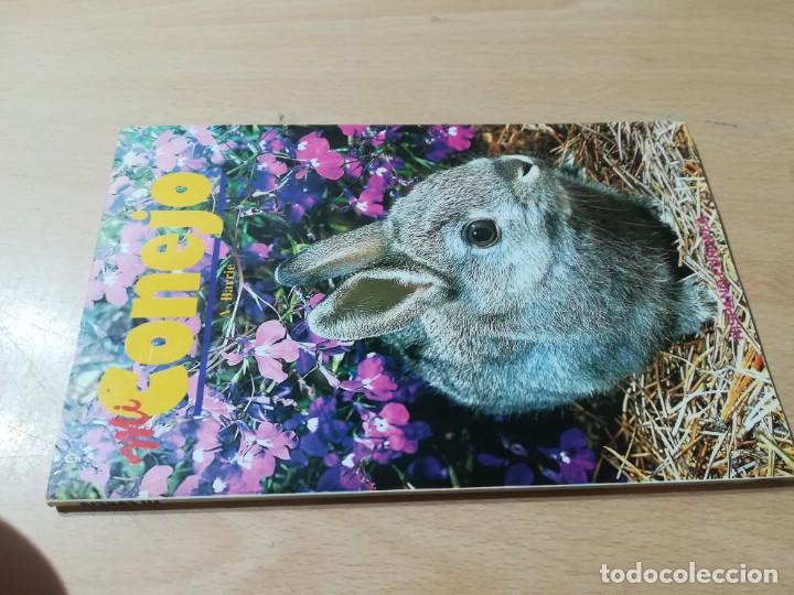 Libros de segunda mano: MI CONEJO / A BARRIE / HISPANO EUROPEA / CON005 - Foto 1