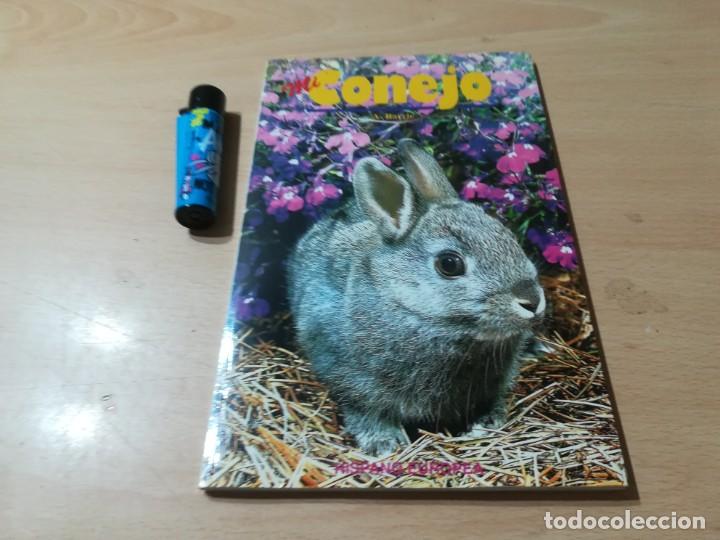 Libros de segunda mano: MI CONEJO / A BARRIE / HISPANO EUROPEA / CON005 - Foto 3