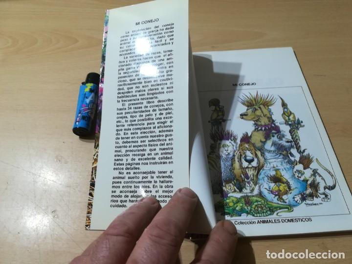 Libros de segunda mano: MI CONEJO / A BARRIE / HISPANO EUROPEA / CON005 - Foto 4