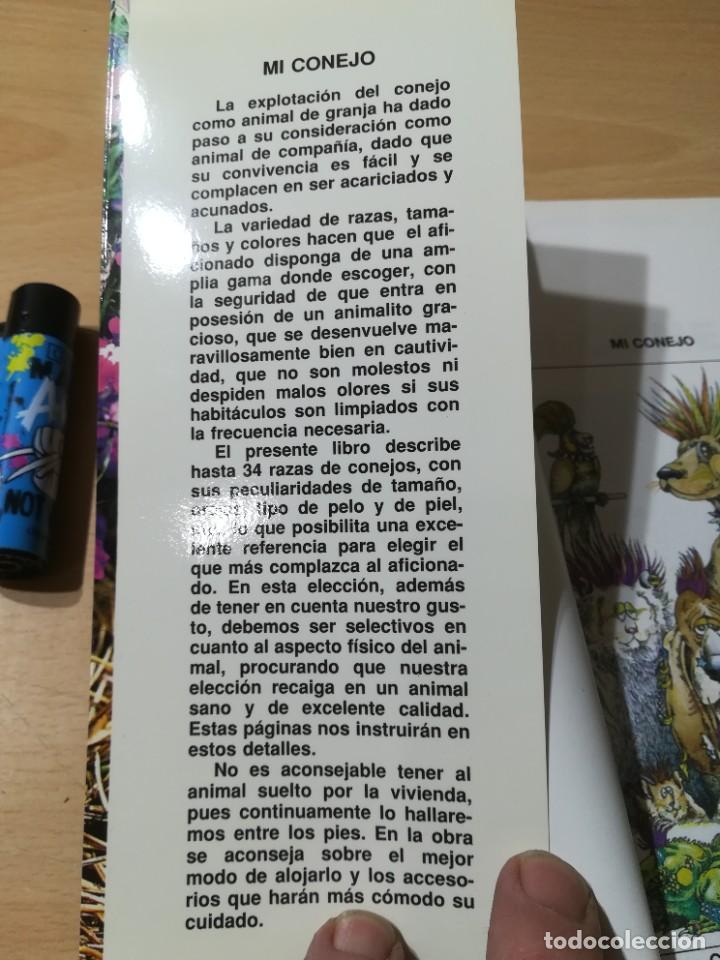 Libros de segunda mano: MI CONEJO / A BARRIE / HISPANO EUROPEA / CON005 - Foto 5