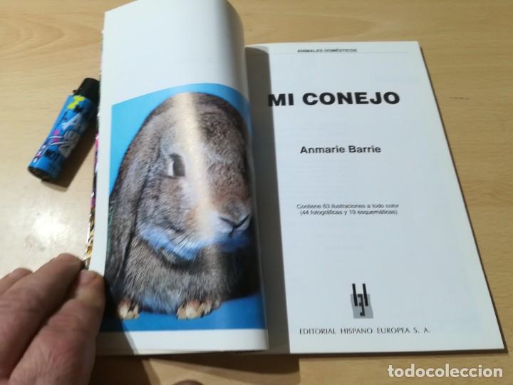 Libros de segunda mano: MI CONEJO / A BARRIE / HISPANO EUROPEA / CON005 - Foto 6