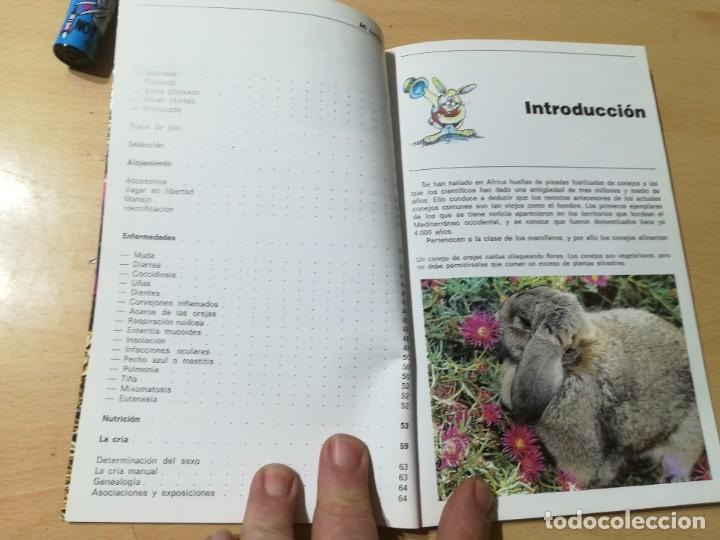 Libros de segunda mano: MI CONEJO / A BARRIE / HISPANO EUROPEA / CON005 - Foto 8