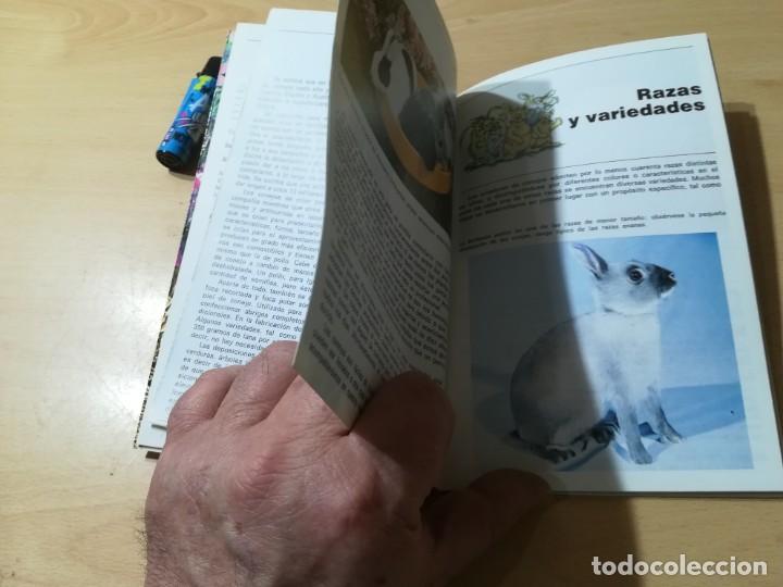 Libros de segunda mano: MI CONEJO / A BARRIE / HISPANO EUROPEA / CON005 - Foto 10