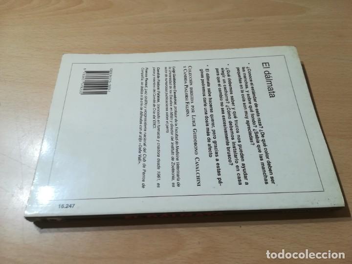 Libros de segunda mano: EL DALMATA / PERROS DE RAZA / DE VECCHI / CONS-33 - Foto 2