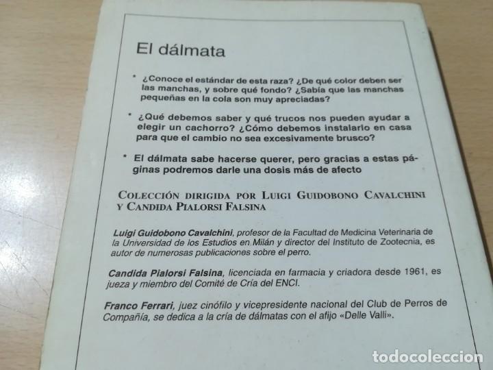 Libros de segunda mano: EL DALMATA / PERROS DE RAZA / DE VECCHI / CONS-33 - Foto 3