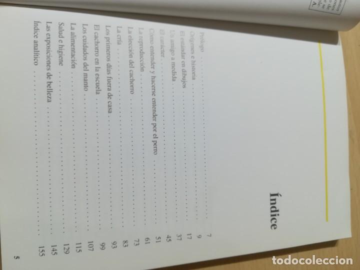 Libros de segunda mano: EL DALMATA / PERROS DE RAZA / DE VECCHI / CONS-33 - Foto 8