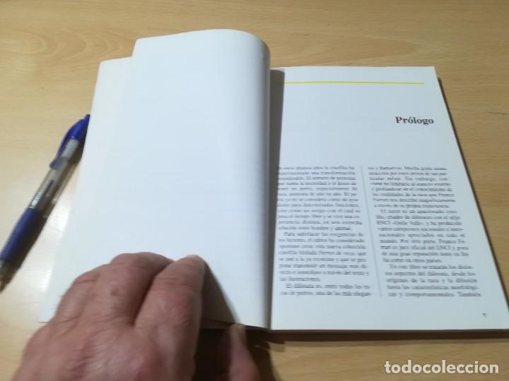 Libros de segunda mano: EL DALMATA / PERROS DE RAZA / DE VECCHI / CONS-33 - Foto 9