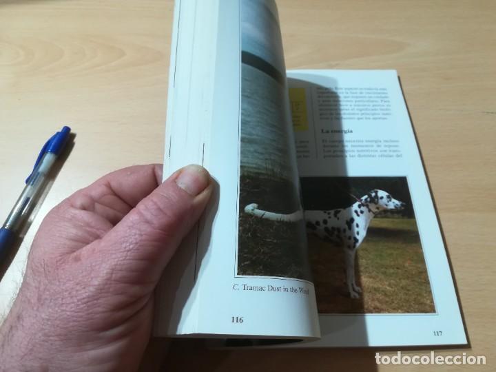 Libros de segunda mano: EL DALMATA / PERROS DE RAZA / DE VECCHI / CONS-33 - Foto 11