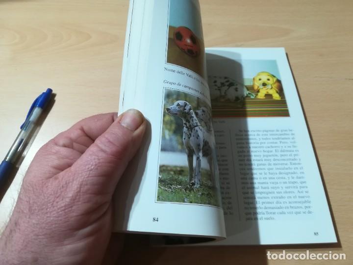 Libros de segunda mano: EL DALMATA / PERROS DE RAZA / DE VECCHI / CONS-33 - Foto 12