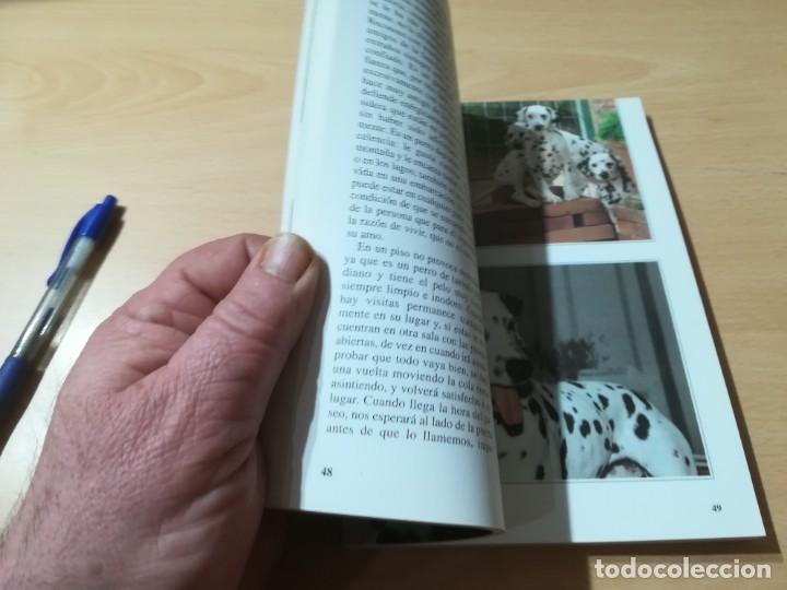 Libros de segunda mano: EL DALMATA / PERROS DE RAZA / DE VECCHI / CONS-33 - Foto 13
