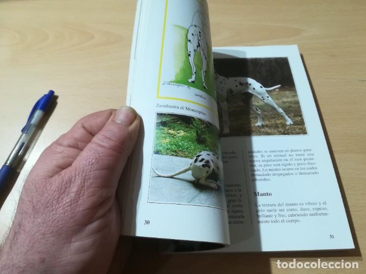Libros de segunda mano: EL DALMATA / PERROS DE RAZA / DE VECCHI / CONS-33 - Foto 14