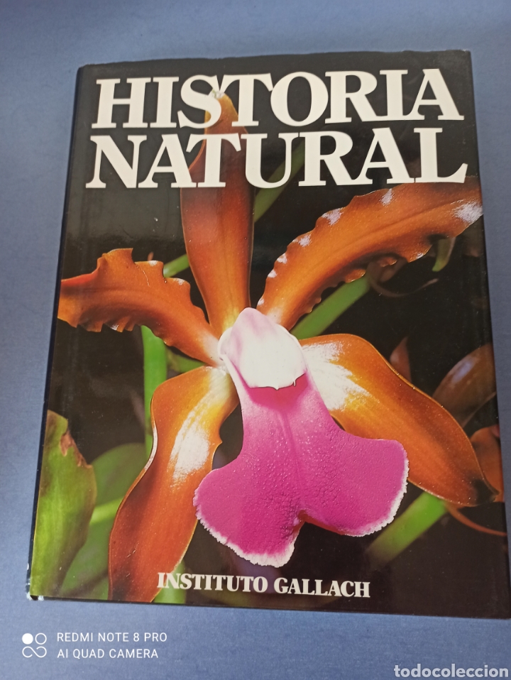 Libros de segunda mano: Hist&oacute;ria natural. Instituto Gallagh - Foto 1