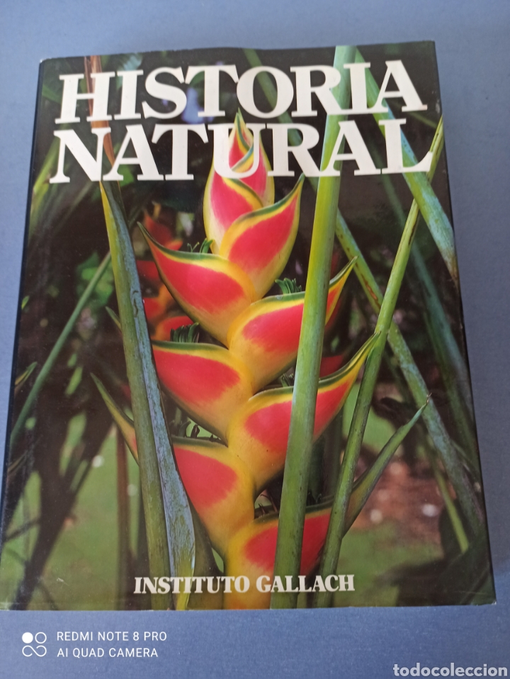 Libros de segunda mano: Hist&ograve;ria natural. Instituto Gallagh - Foto 1