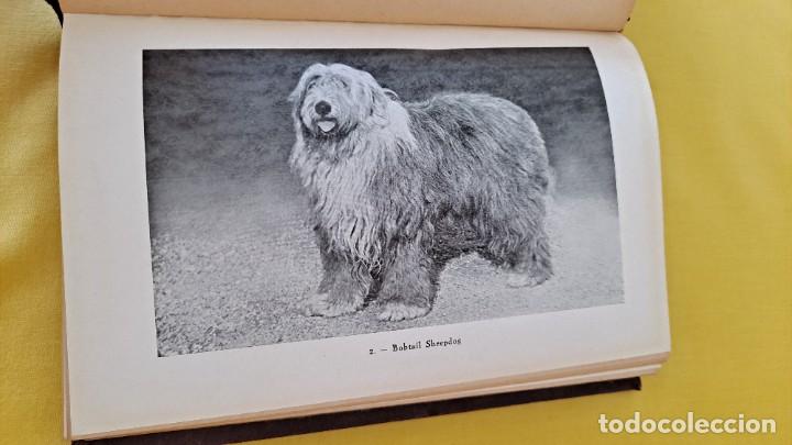 Libros de segunda mano: ALEJANDRO BON - EL PERRO - LUIS MIRACLE EDITOR, PRIMERA EDICI&Oacute;N 1932 - Foto 4