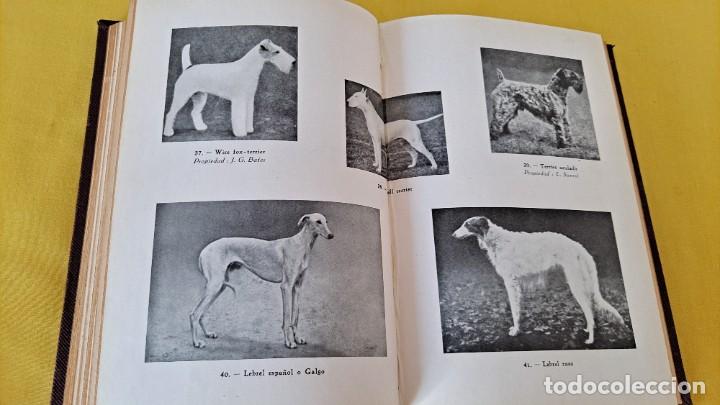 Libros de segunda mano: ALEJANDRO BON - EL PERRO - LUIS MIRACLE EDITOR, PRIMERA EDICI&Oacute;N 1932 - Foto 5
