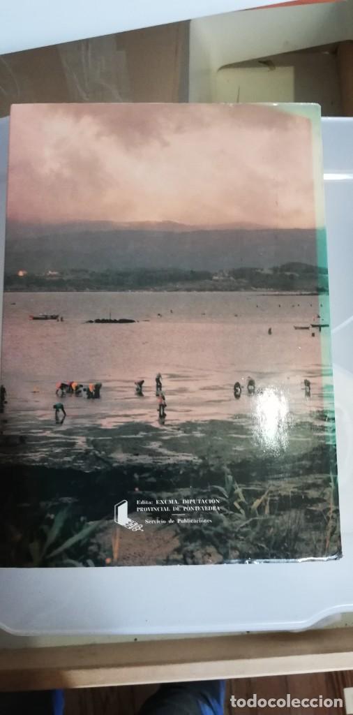 Libros de segunda mano: LAS ACTIVIDADES AGROPECUARIAS Y PESQUERAS EN LA RIA DE AROUSA. - Foto 8