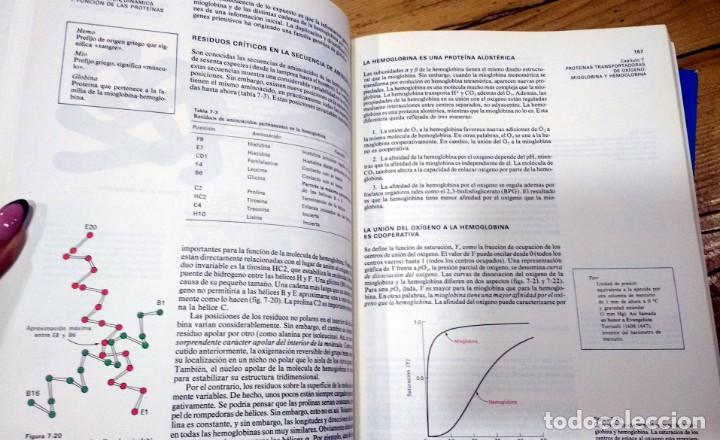 Libros de segunda mano de ciencias: Bioqu&iacute;mica. Lubert Stryer. Dos 2 II tomos - Foto 3