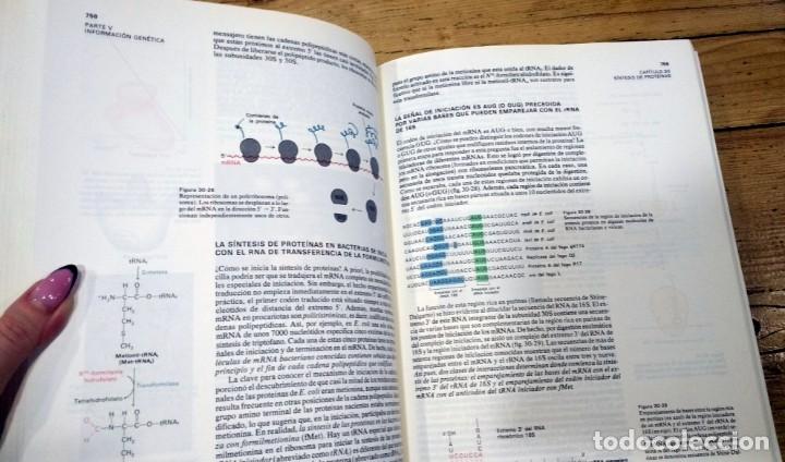 Libros de segunda mano de ciencias: Bioqu&iacute;mica. Lubert Stryer. Dos 2 II tomos - Foto 4