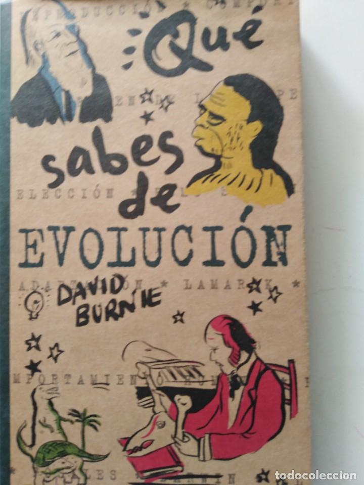 Libros de segunda mano: QUE SABES DE EVOLUCION. DAVID BURNIE - Foto 1