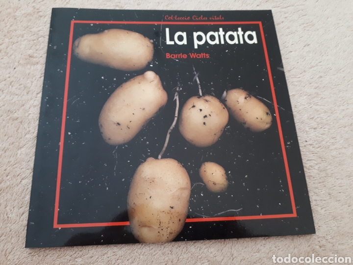Libros de segunda mano: LA PATATA Barrie Watts EDEBE ( en catal&agrave;) - Foto 1