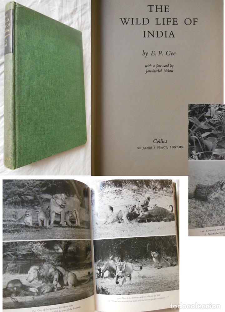 Livros em segunda m&atilde;o: THE WILD LIFE OF INDE. 1969 E.P. GEE