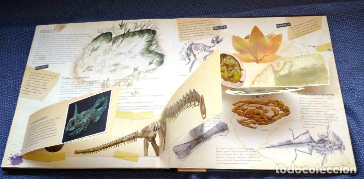 Libros de segunda mano: DINOSAURIOS PLANETA JUNIOR. LIBRO EN POP UP - DESPLEGABLES - Foto 5