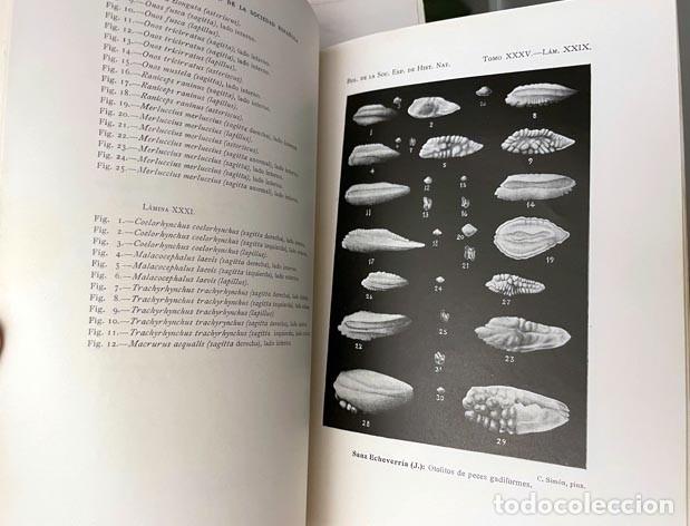 Libros de segunda mano: Bol H&ordf; Natura( Otolitos peces gadiformes; Feldespatos espa&ntilde;oles; Algas coralin&aacute;ceas f&oacute;siles.Etc.)