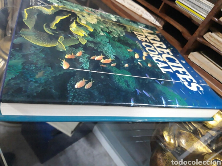 Libros de segunda mano: Arrecifes de coral. Roger Steene - Foto 3