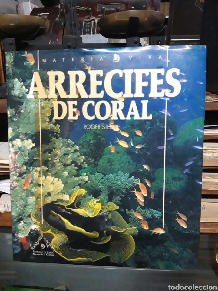 Libros de segunda mano: Arrecifes de coral. Roger Steene - Foto 1