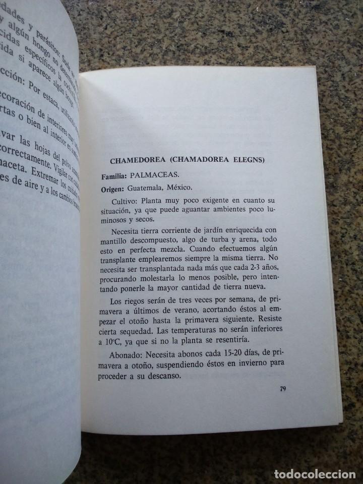 Libros de segunda mano: MANUAL DE LAS PLANTAS DE INTERIOR -- ESCOBAR -- 1977 -- - Foto 2