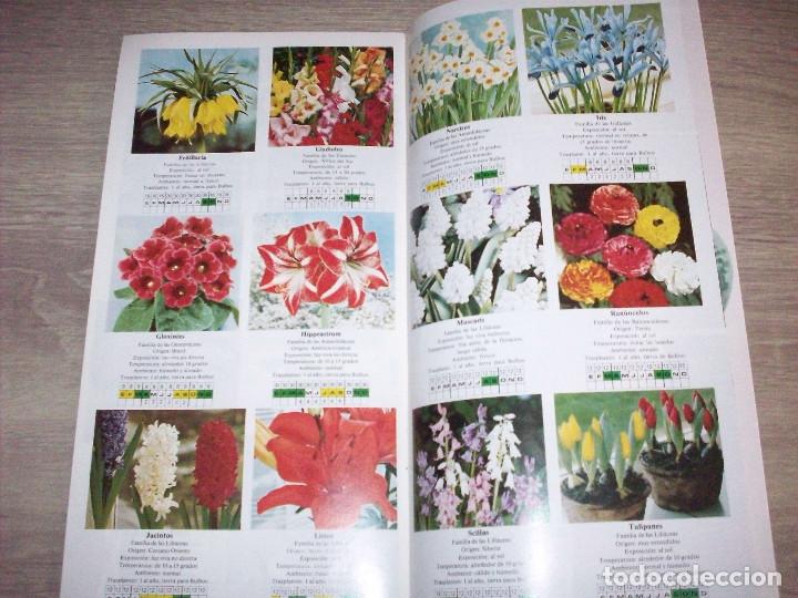 Libros de segunda mano: peque&ntilde;a guia de las plantas de interior, editorial floraprint - Foto 2