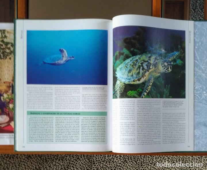 Libros de segunda mano: LIBRO REFERENCIA TIERRA VIVA: ANIMALES Y MEDIO AMBIENTE - Foto 2