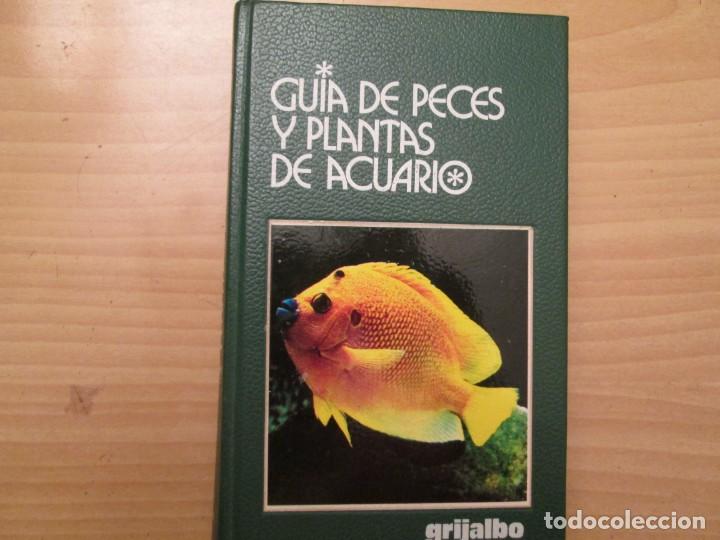 Libros de segunda mano: GUIA DE PECES Y PLANTAS DE ACUARIO - Foto 1
