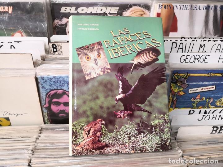 Libros de segunda mano: LA RAPACES IB&Eacute;RICAS - Fernando Hiraldo - Foto 1