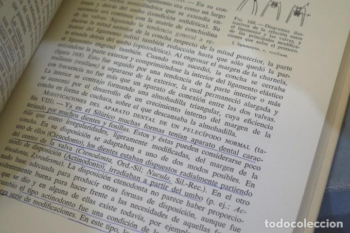 Libros de segunda mano: ELEMENTOS DE PALEONTOLOGIA. SWINNERTON - Foto 2