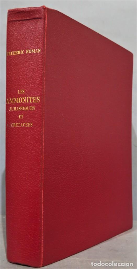 Libros de segunda mano: LES AMMONITES JURASSIQUES ET CRETACEES. ROMAN - Foto 1 - 294972128
