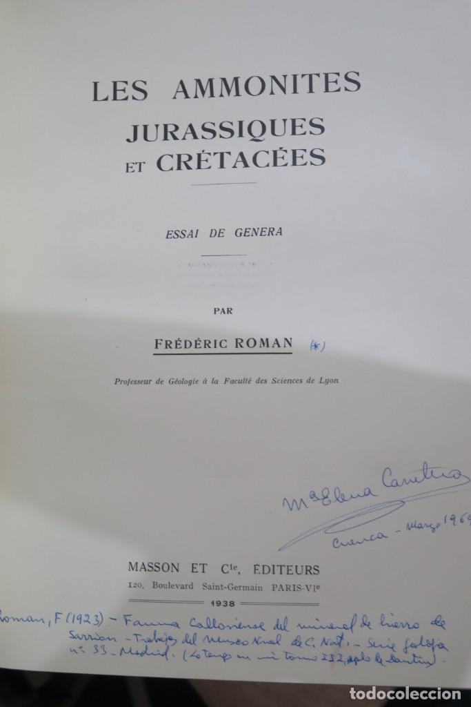 Libros de segunda mano: LES AMMONITES JURASSIQUES ET CRETACEES. ROMAN - Foto 2 - 294972128