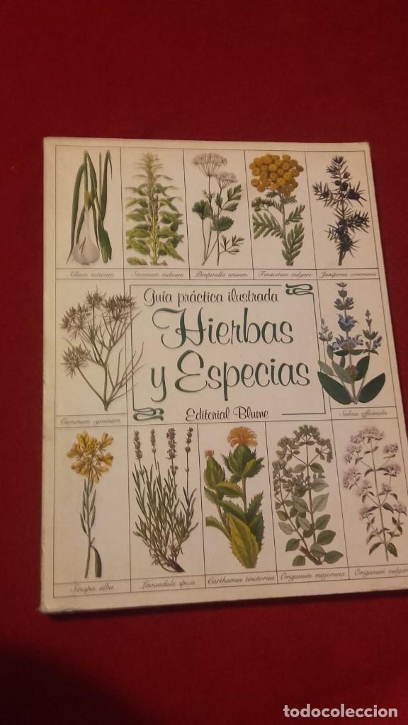 Libros de segunda mano: GUIA PRACTICA ILUSTRADA HIERBAS Y ESPECIAS - W. ROOT - ED. BLUME - RUSTICA - Foto 1