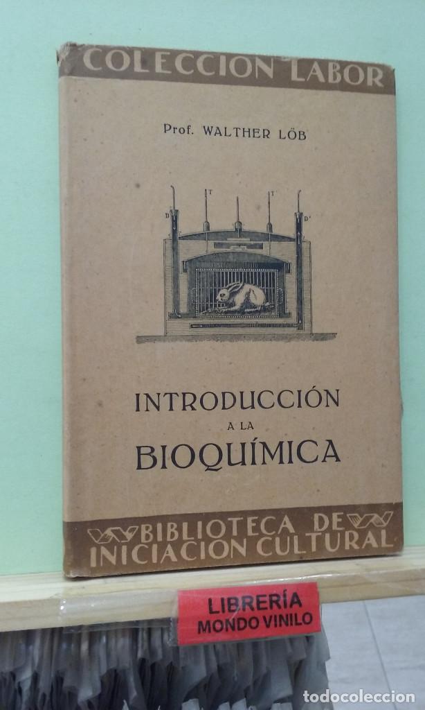 Libros de segunda mano de ciencias: Introducci&oacute;n a la bioqu&iacute;mica. Walther Lob - Foto 1
