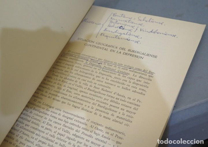 Libros de segunda mano: EL BURDIGALIENSE CONTINENTAL DE LA CUENCA DEL VALLES-PENEDES - Foto 2