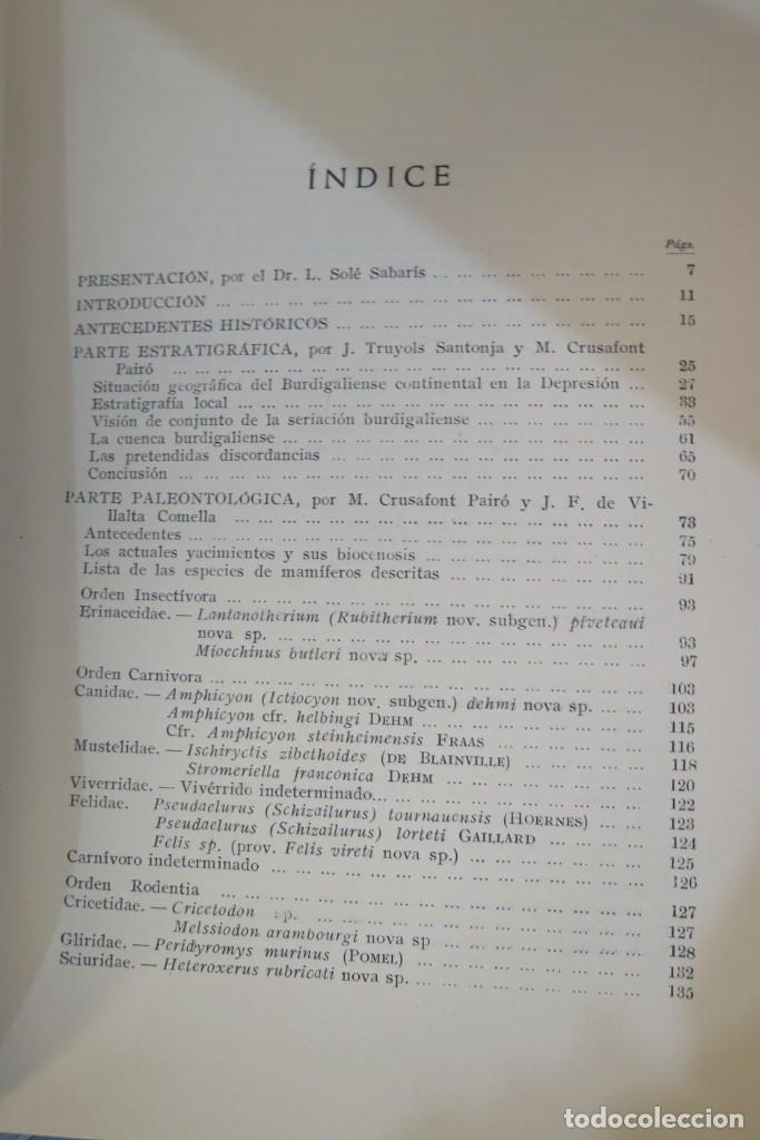 Libros de segunda mano: EL BURDIGALIENSE CONTINENTAL DE LA CUENCA DEL VALLES-PENEDES - Foto 4